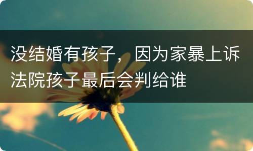 没结婚有孩子，因为家暴上诉法院孩子最后会判给谁