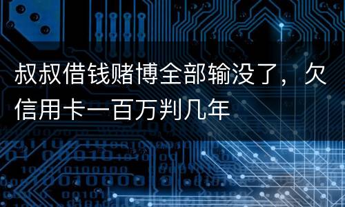 叔叔借钱赌博全部输没了，欠信用卡一百万判几年