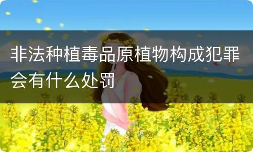 非法种植毒品原植物构成犯罪会有什么处罚