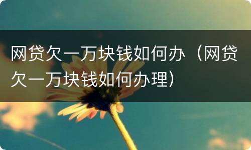 网贷欠一万块钱如何办（网贷欠一万块钱如何办理）