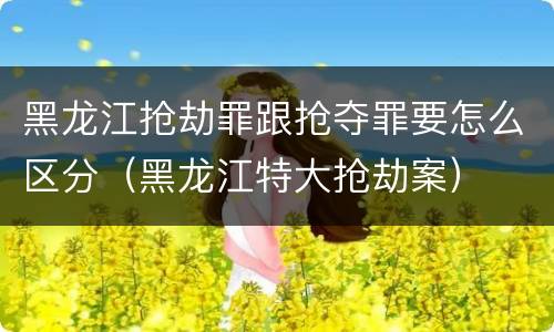 黑龙江抢劫罪跟抢夺罪要怎么区分（黑龙江特大抢劫案）