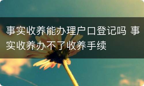 事实收养能办理户口登记吗 事实收养办不了收养手续