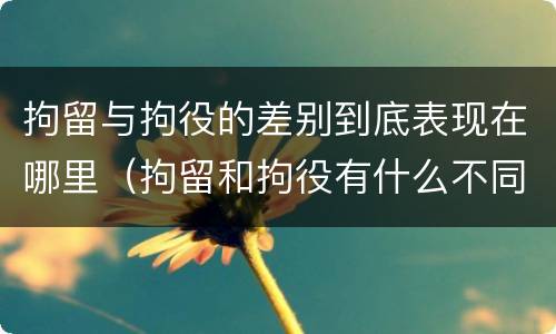 拘留与拘役的差别到底表现在哪里（拘留和拘役有什么不同）
