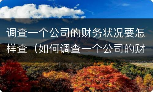 调查一个公司的财务状况要怎样查（如何调查一个公司的财务状况）