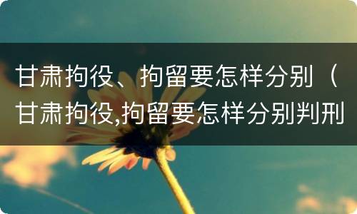 甘肃拘役、拘留要怎样分别（甘肃拘役,拘留要怎样分别判刑）