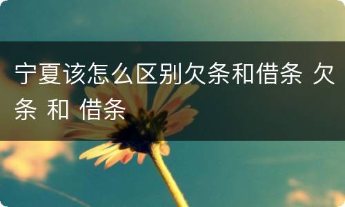 宁夏该怎么区别欠条和借条 欠条 和 借条