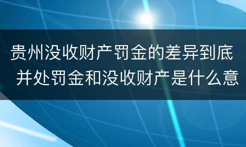 贵州没收财产罚金的差异到底 并处罚金和没收财产是什么意思