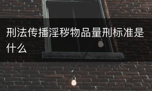 刑法传播淫秽物品量刑标准是什么