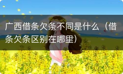 广西借条欠条不同是什么（借条欠条区别在哪里）