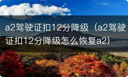 a2驾驶证扣12分降级（a2驾驶证扣12分降级怎么恢复a2）