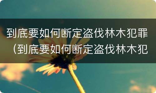 到底要如何断定盗伐林木犯罪（到底要如何断定盗伐林木犯罪行为）