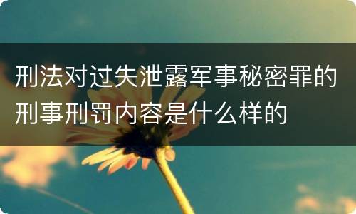 刑法对过失泄露军事秘密罪的刑事刑罚内容是什么样的