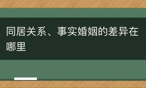 同居关系、事实婚姻的差异在哪里