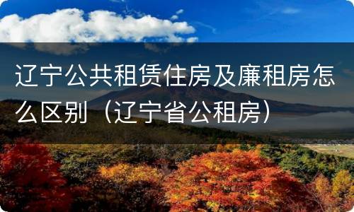 辽宁公共租赁住房及廉租房怎么区别（辽宁省公租房）