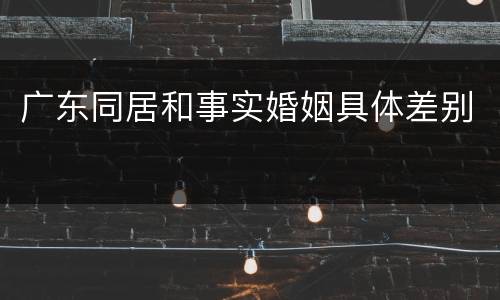 广东同居和事实婚姻具体差别