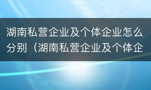湖南私营企业及个体企业怎么分别（湖南私营企业及个体企业怎么分别的）