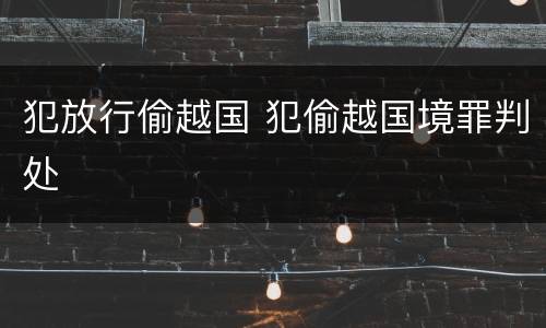 犯放行偷越国 犯偷越国境罪判处