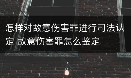怎样对故意伤害罪进行司法认定 故意伤害罪怎么鉴定