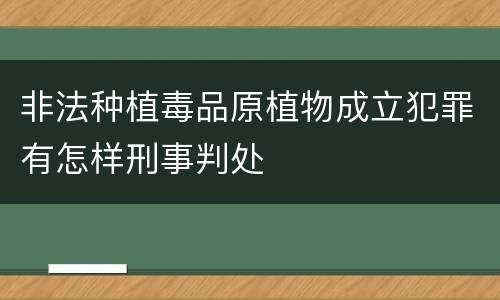 非法种植毒品原植物成立犯罪有怎样刑事判处