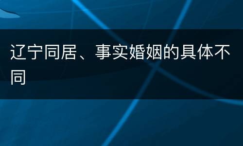 辽宁同居、事实婚姻的具体不同