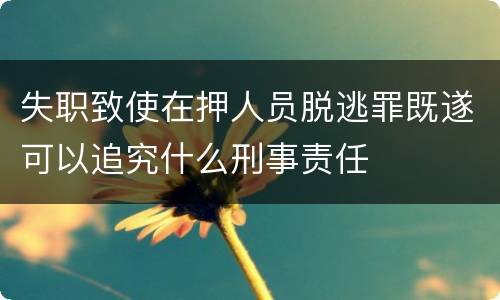 失职致使在押人员脱逃罪既遂可以追究什么刑事责任