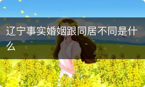 辽宁事实婚姻跟同居不同是什么