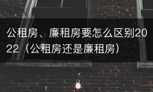 公租房、廉租房要怎么区别2022（公租房还是廉租房）