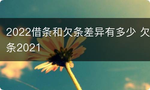 2022借条和欠条差异有多少 欠条2021