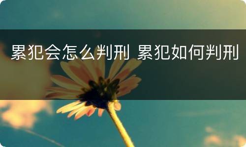 累犯会怎么判刑 累犯如何判刑