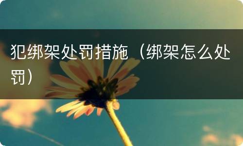 犯绑架处罚措施（绑架怎么处罚）