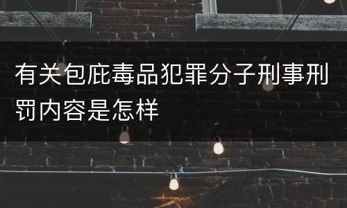 有关包庇毒品犯罪分子刑事刑罚内容是怎样