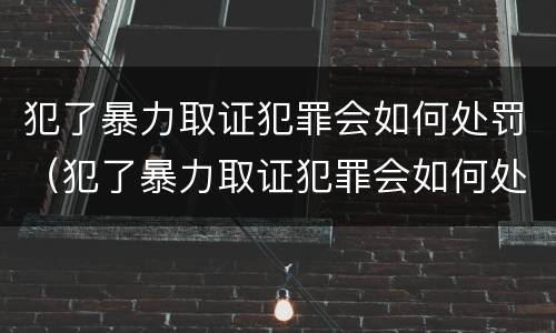犯了暴力取证犯罪会如何处罚（犯了暴力取证犯罪会如何处罚呢）