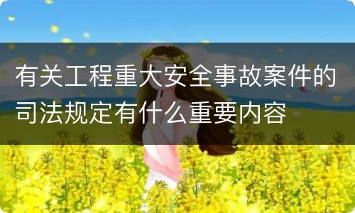 有关工程重大安全事故案件的司法规定有什么重要内容