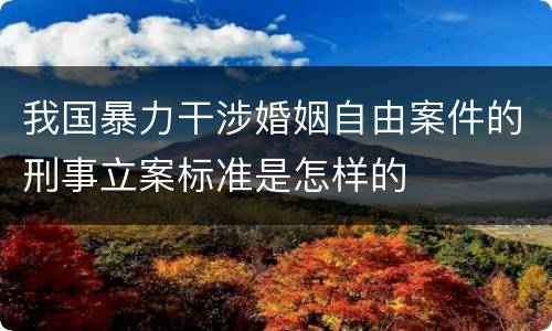 我国暴力干涉婚姻自由案件的刑事立案标准是怎样的