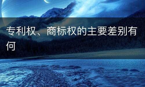 专利权、商标权的主要差别有何