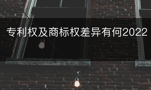 专利权及商标权差异有何2022