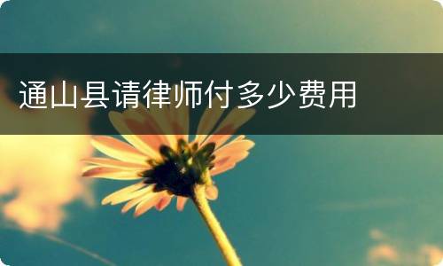 通山县请律师付多少费用