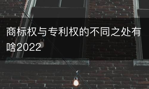 商标权与专利权的不同之处有啥2022