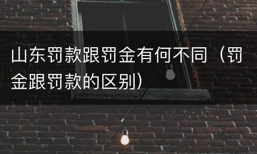 山东罚款跟罚金有何不同（罚金跟罚款的区别）