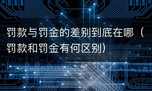 罚款与罚金的差别到底在哪（罚款和罚金有何区别）