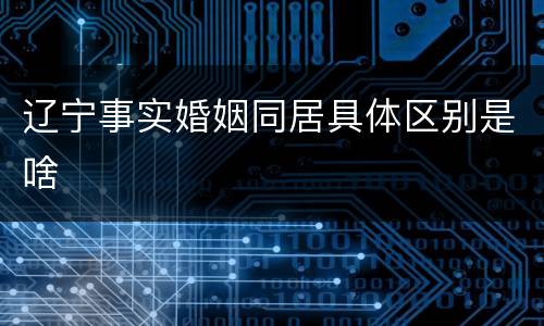 辽宁事实婚姻同居具体区别是啥