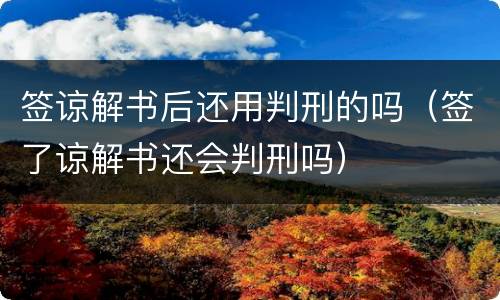 签谅解书后还用判刑的吗（签了谅解书还会判刑吗）