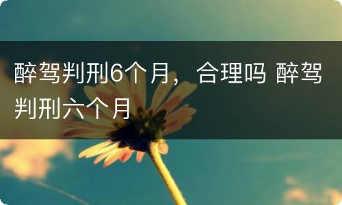 醉驾判刑6个月，合理吗 醉驾判刑六个月