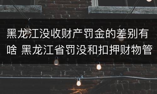 黑龙江没收财产罚金的差别有啥 黑龙江省罚没和扣押财物管理条例