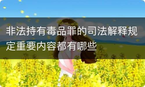 非法持有毒品罪的司法解释规定重要内容都有哪些