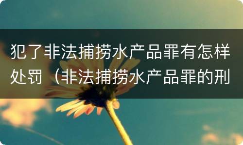 犯了非法捕捞水产品罪有怎样处罚（非法捕捞水产品罪的刑法处罚）