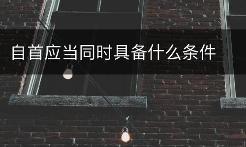 自首应当同时具备什么条件