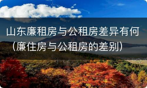 山东廉租房与公租房差异有何（廉住房与公租房的差别）