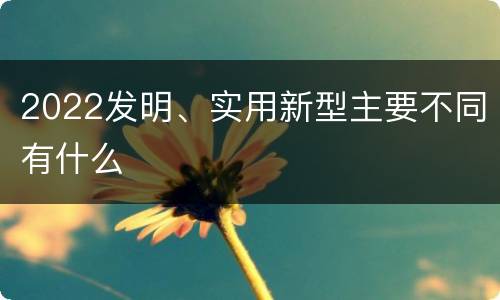 2022发明、实用新型主要不同有什么