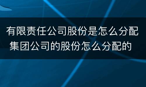 有限责任公司股份是怎么分配 集团公司的股份怎么分配的